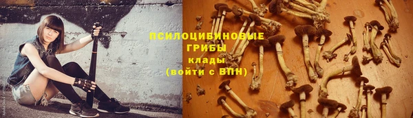 spice Медногорск