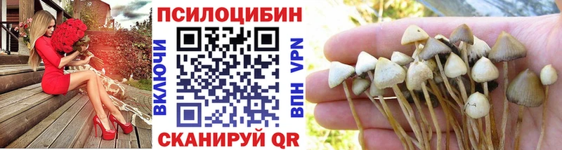 Галлюциногенные грибы прущие грибы Семикаракорск